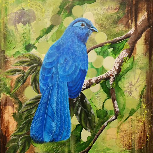 Rio