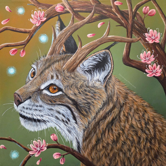 Lumière de l'aurore