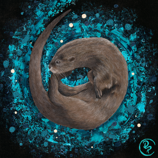 L'équilibre de l'eau